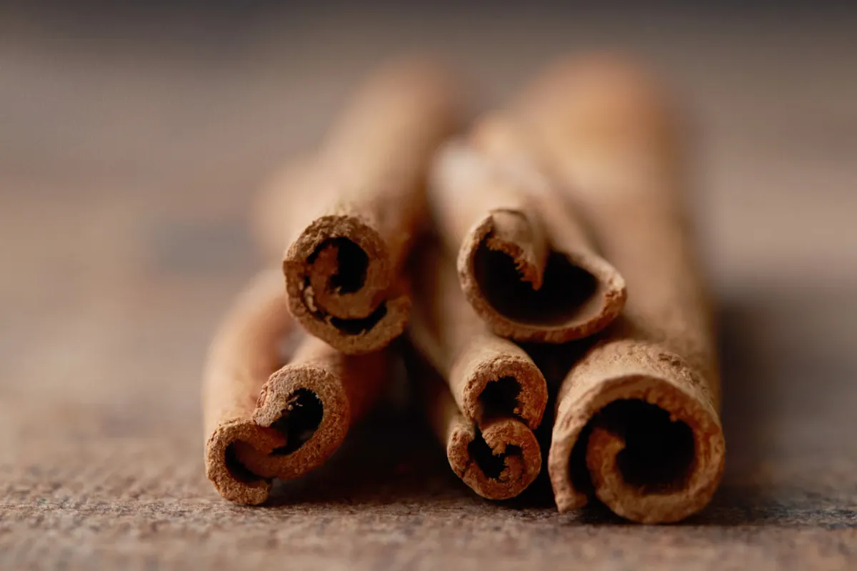 Bâtons de cannelle en gros plan