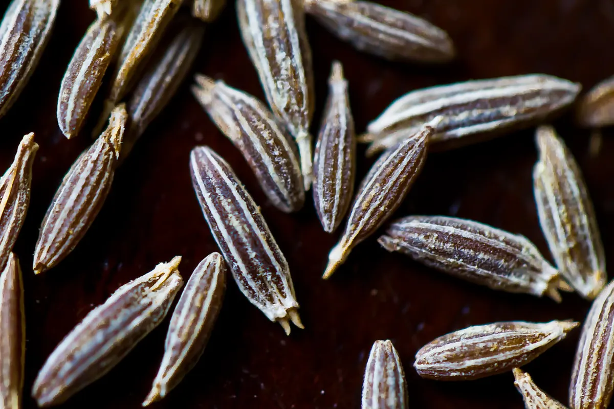 Graines de cumin en gros plan
