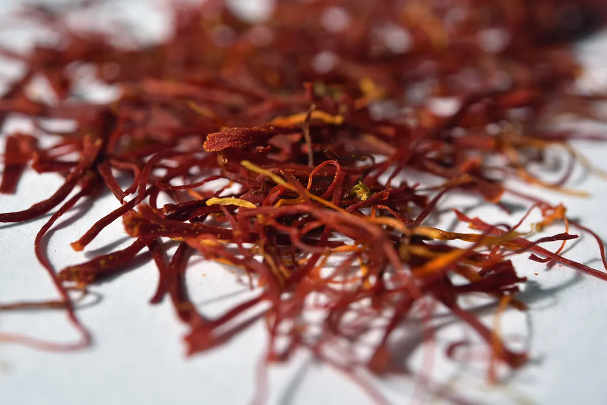 Pistils de safran séchés