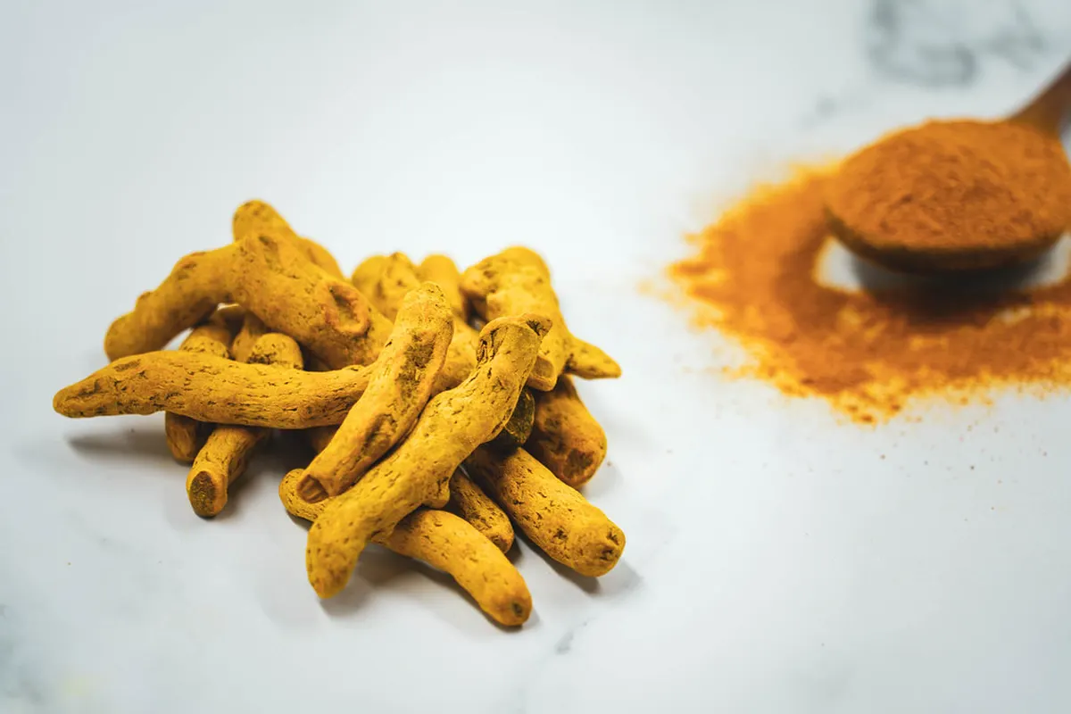 Racines de curcuma et curcuma en poudre